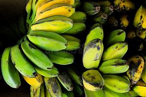Image result for Saba Banana