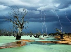 Image result for Photography Awards