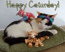 Image result for Caturday Cat Smiling