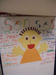 Image result for 5 Senses Anchor Chart