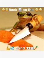 Image result for Horned Frog Meme