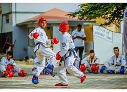 Image result for Karate Weapons Sparring