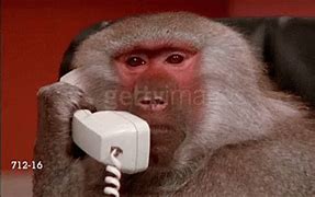 Image result for Funny Flip Phone GIF