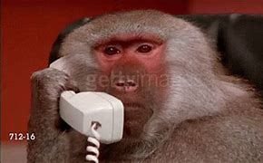Image result for Animated Phone Call Meme