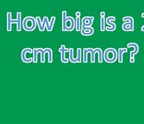 Image result for 2 Cm Tumor