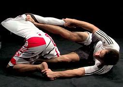 Image result for Brazilian Jiu-Jitsu