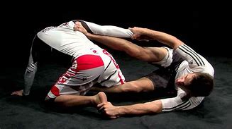 Image result for Brazilian Jiu Jitsu Free Pictures