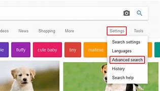 Image result for What Is the Best Search Engine to Find Someone