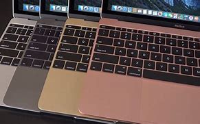 Image result for Apple System Colors