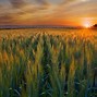 Image result for Amazing Landscape Photography