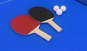 Image result for Butterfly Table Tennis Conversion Top