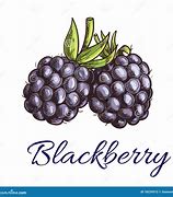 Image result for BlackBerry Berry