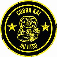 Image result for Jiu Jitsu Tournament