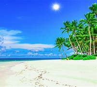 Image result for Sunny Beaches Wallpaper