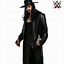 Image result for WWE Wrestler Costumes