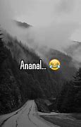 Image result for ananal