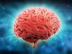 Image result for Free Brain Wallpaper