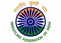 Image result for Wrestling Federation of India President