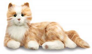 Image result for Dementia Cat Toy
