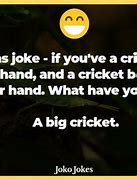 Image result for Jokes About Crickets