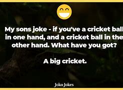 Image result for Old Man Cricket Jokes