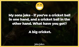 Image result for Cricket Geeks Funny Jokes