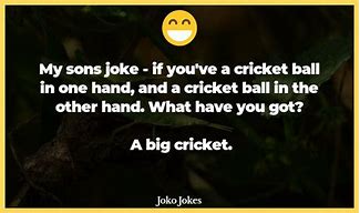 Image result for Cricket Birthday Jokes