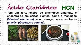 Image result for acidoais
