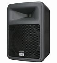 Image result for Peavey PR 10 Speakers