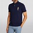 Image result for Polo Brand Shirts for Men