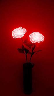 Image result for iPhone Light Red