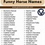 Image result for Top 10 Best Horse Names
