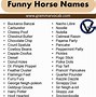 Image result for Horse Names List