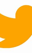 Image result for Twitter Icon Orange