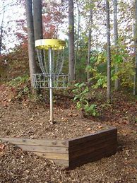 Image result for Disc Golf Hole