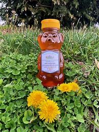 Image result for Local Honey