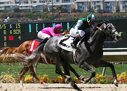 Image result for Horse Race Action Images