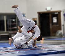 Image result for Judo Martial Arts