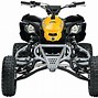Image result for Can-Am DS 450