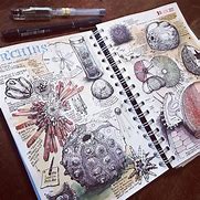 Image result for Sketchbook Journal Ideas for Kids