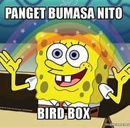 Image result for Animals Panget Memes