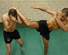 Image result for Flip Kick Martial Arts