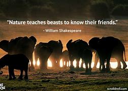 Image result for Animal Quotes Inspirational