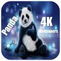 Image result for Panda 4K