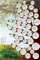 Image result for Chenery Family Tree