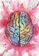 Image result for Brain Drawing Science
