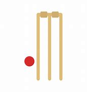 Image result for Cricket Box Vector