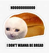 Image result for Bread Loaf Cat Meme