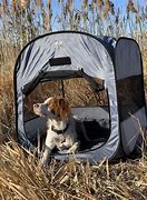 Image result for Dog Swag Tent