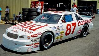 Image result for NASCAR Budweiser Car
